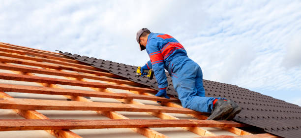 Best Skylight Installation and Repair  in Elmwood Park, IL