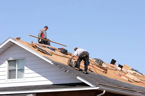 Best Sheet Metal Roofing  in Elmwood Park, IL