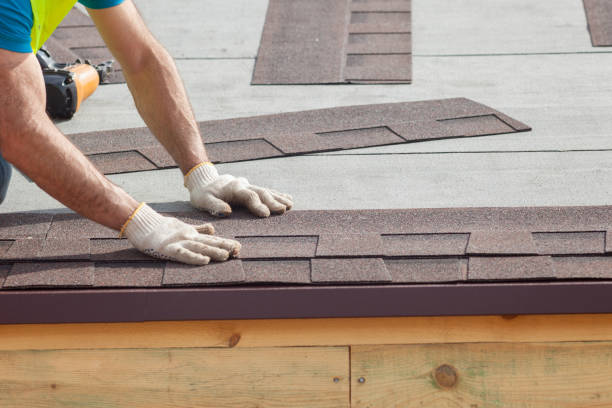 Best Metal Roofing Installation  in Elmwood Park, IL