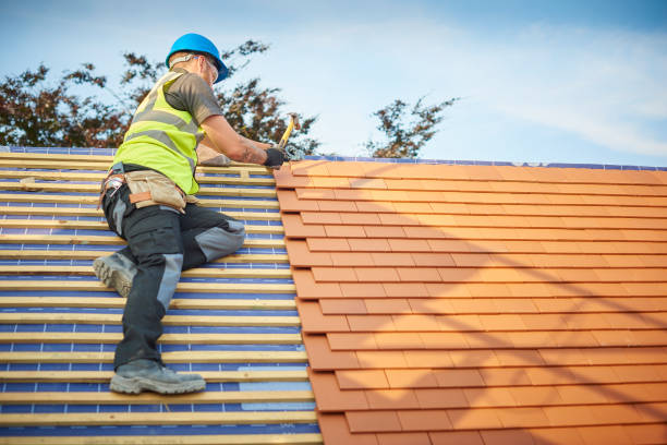 Best Gutter Installation and Repair  in Elmwood Park, IL